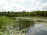 kleiner See bei Lagow/Lubuskie